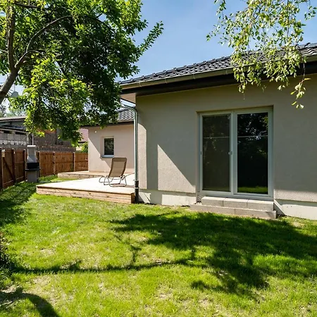 Schilfblick * Buchholz (Mecklenburg-Vorpommern)