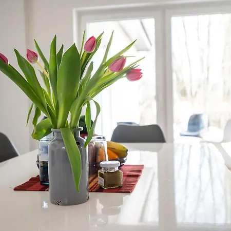 Schilfblick Buchholz (Mecklenburg-Vorpommern)