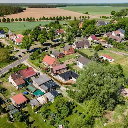 Schilfblick * Buchholz (Mecklenburg-Vorpommern)