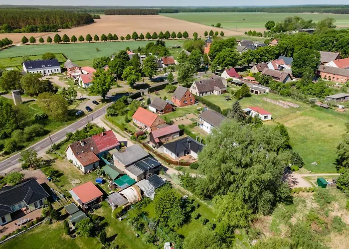 Schilfblick * Buchholz (Mecklenburg-Vorpommern)